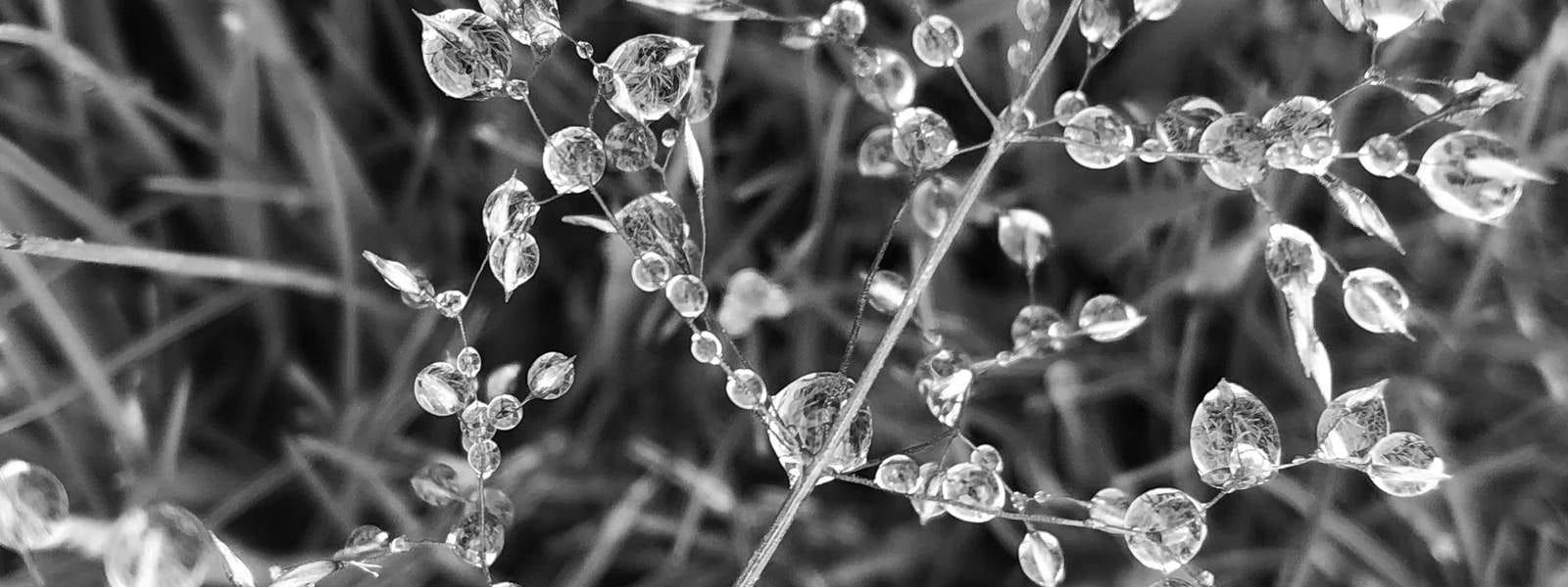 Season's Greetings from ArchitectureLIVE