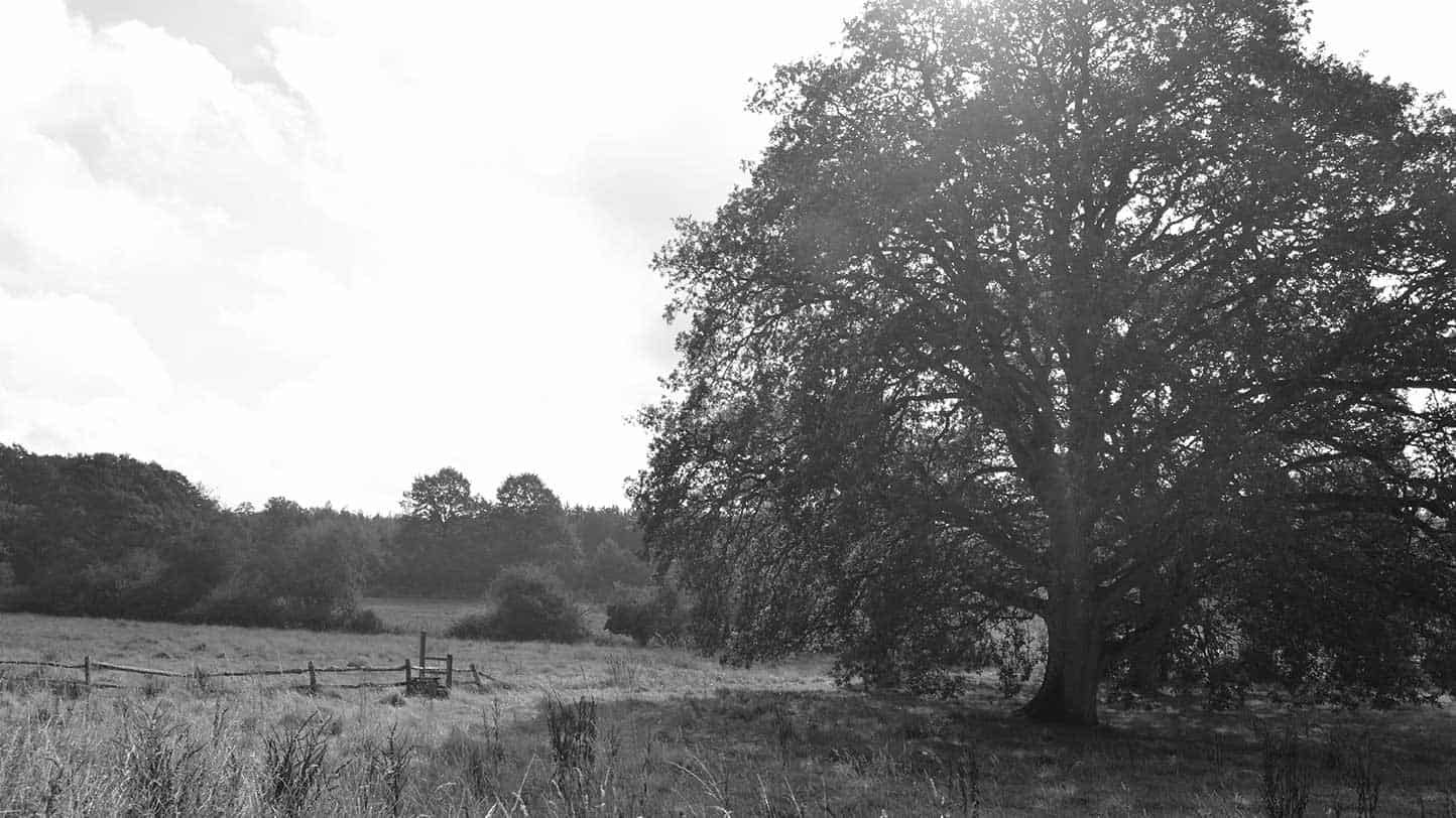 Country House, Cranleigh, Surrey