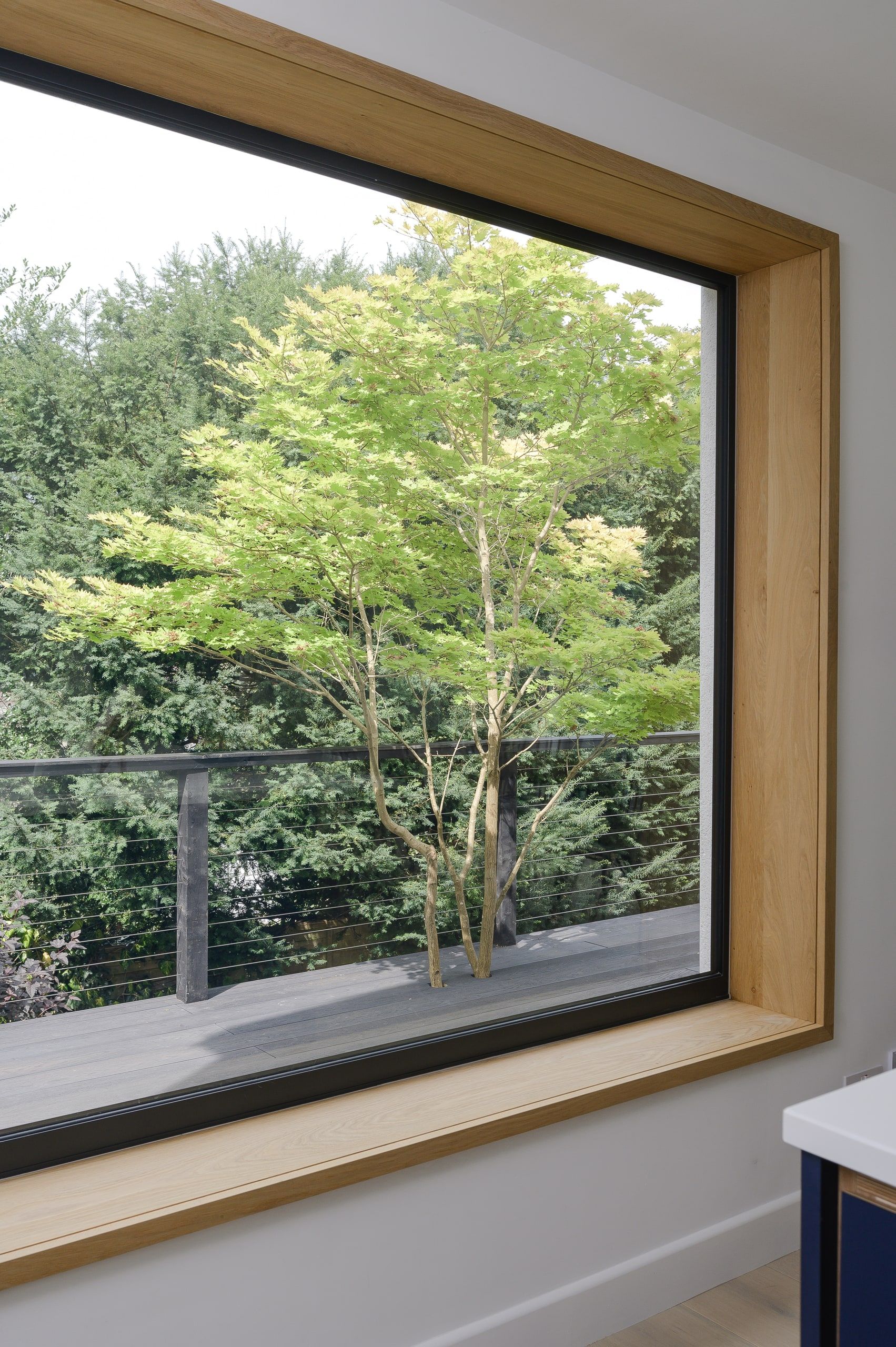 Oak-lined picture window framing an acer on the terrace, seen from the kitchen, 1960s house, Haslemere.