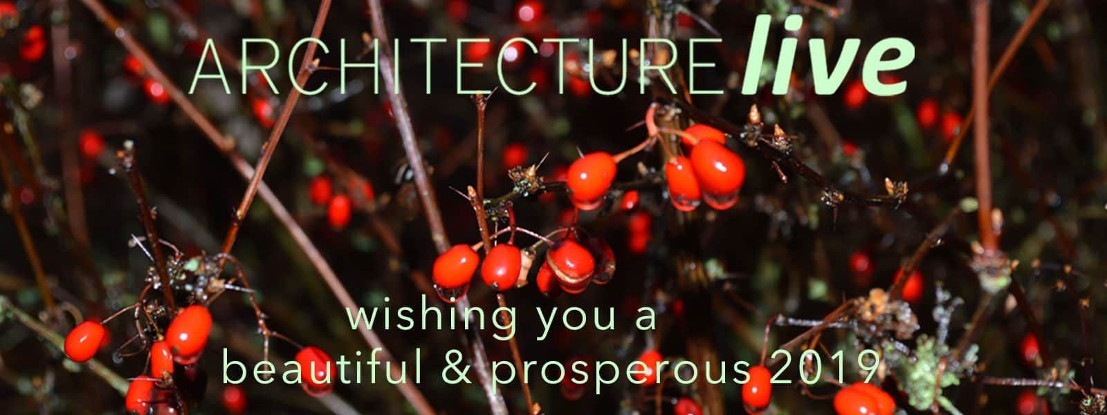 Merry Christmas from ArchitectureLIVE!